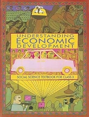 Class 10 Social Science Economics (Understanding Economic Development)