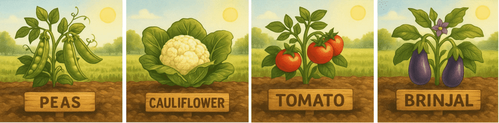Agriculture - Horticulture Crop